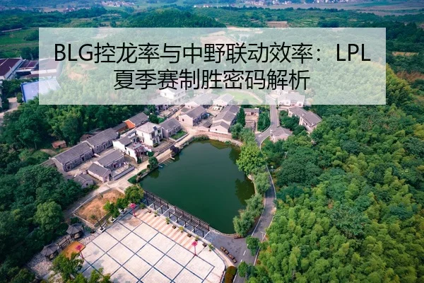 BLG控龙率与中野联动效率：LPL夏季赛制胜密码解析