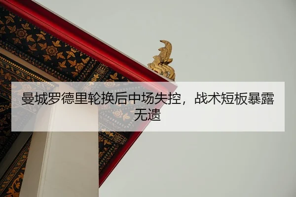 man-cheng-luo-de-li-lun-huan-hou-zhong-chang-shi-kong-zhan-shu-duan-ban-bao-lu-wu-yi-2-136.jpg