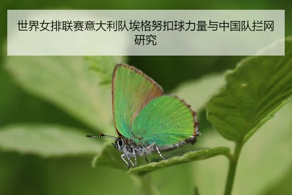 shi-jie-nv-pai-lian-sai-yi-da-li-dui-ai-ge-nu-kou-qiu-li-liang-yu-zhong-guo-dui-lan-wang-yan-jiu-3-895.jpg